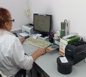 На Сахалине проверили почву: почти треть образцов оказалась загрязнена