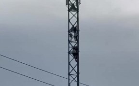 Происшествия