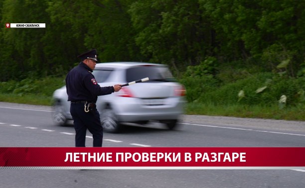 Сахалинские инспекторы ГАИ рассказали, как пьяные водители выдают себя на дороге