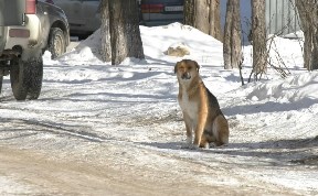 Общество