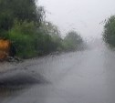 Сильный дождь обрушится на Южно-Сахалинск