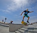 Скейт-парк появится в следующем году в Новой Деревне 