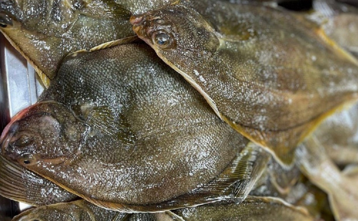 Сахалинцам предлагают купить свежую рыбу