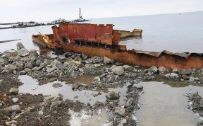 Общество