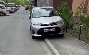 Общество