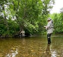 Экологи начали проверку бассейна реки Углегорки