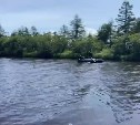 На Сахалине задержали двоих мужчин, таскавших горбушу из реки сетью