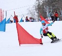 Юные сноубордисты на Сахалине смогут теперь тренироваться круглый год