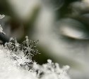 Температура опустится до -29 градусов: прогноз для Сахалинской области на 11 декабря