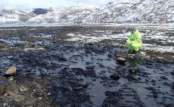 Содержание нефтепродуктов в пробах морской воды у Невельска в  378 раз превышает допустимую норму 