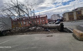 Происшествия