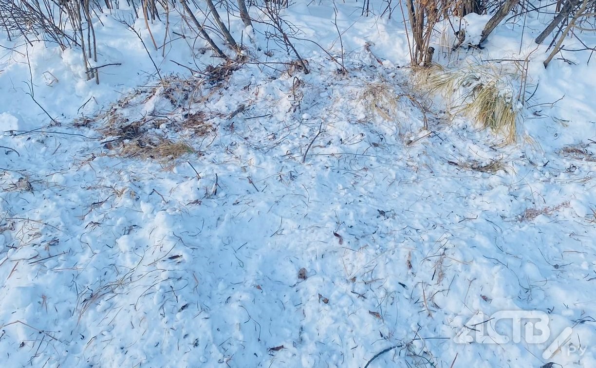 "Валяются шприцы, окровавленные салфетки": южносахалинка нашла наркоманский пятачок возле реки