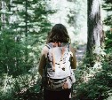 Яркая куртка и зарубки на дереве: советы, как не заблудиться и спастись в лесу