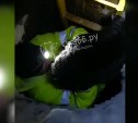 Рабочие на Сахалине спасли собаку, десять дней просидевшую в колодце
