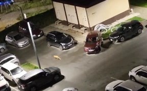 Общество
