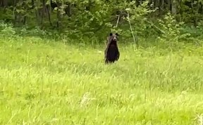 Общество