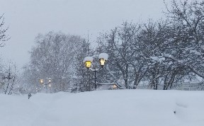 Общество