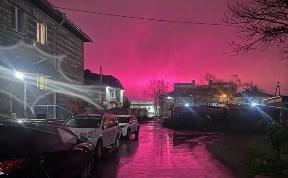Общество