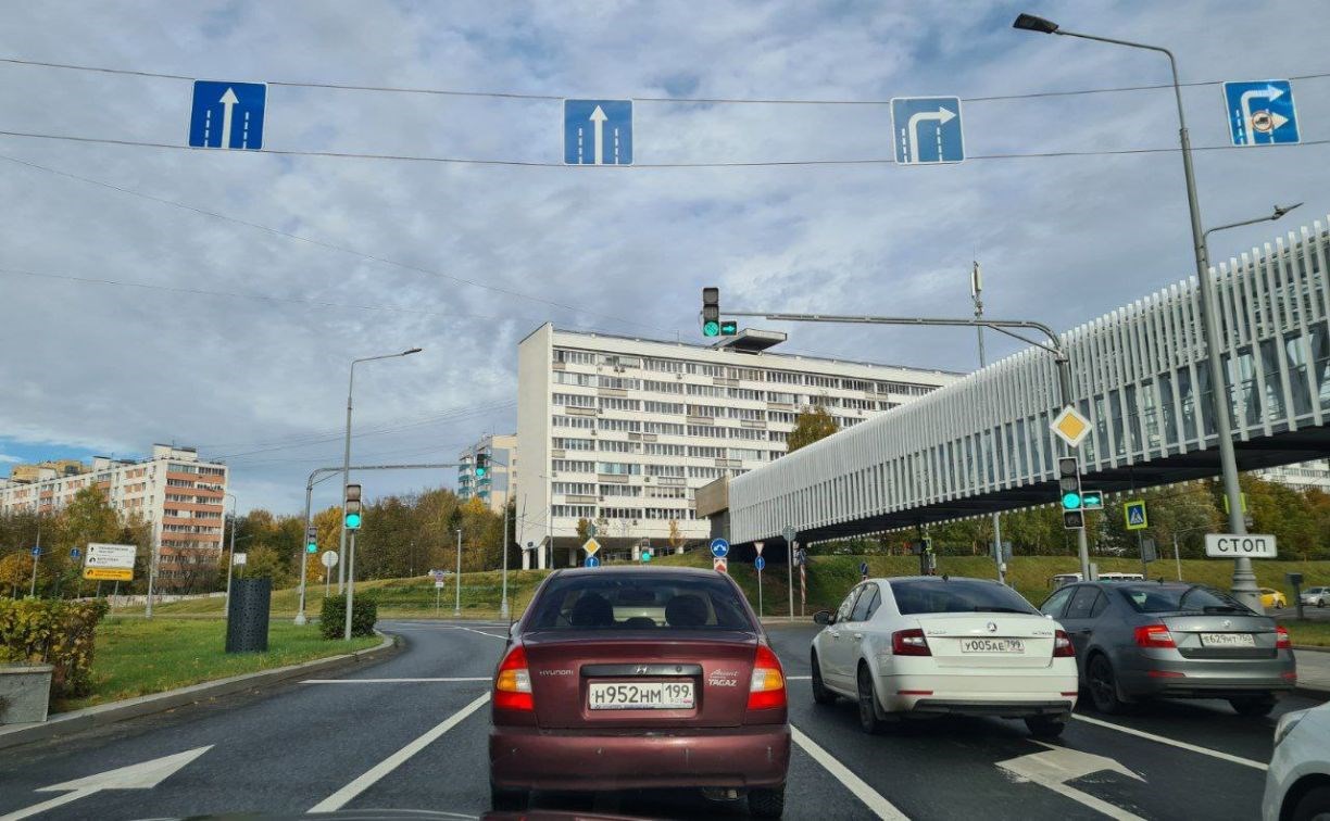 "Происходит невероятное": Вишневский изучает вопрос отмены зелёного мигающего сигнала светофора
