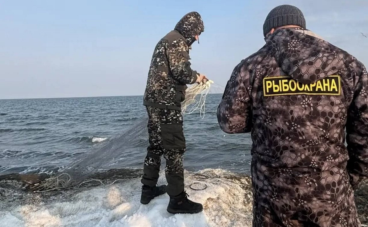 Более полумиллиона рублей заплатили браконьеры на Сахалине с начала года 