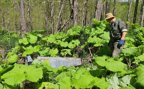Общество
