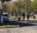 Водитель, насмерть сбивший женщину-пешехода в Поронайске, может уйти от наказания