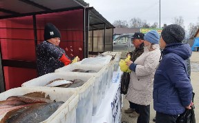 На Сахалине увеличат количество мест продажи свежей рыбы