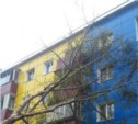 На Ленина, 293 дерево упало на многоэтажку (ФОТО)