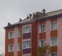 Лазающие по крыше рабочие стали поводом для большого совещания в Фонде капремонта Сахалина