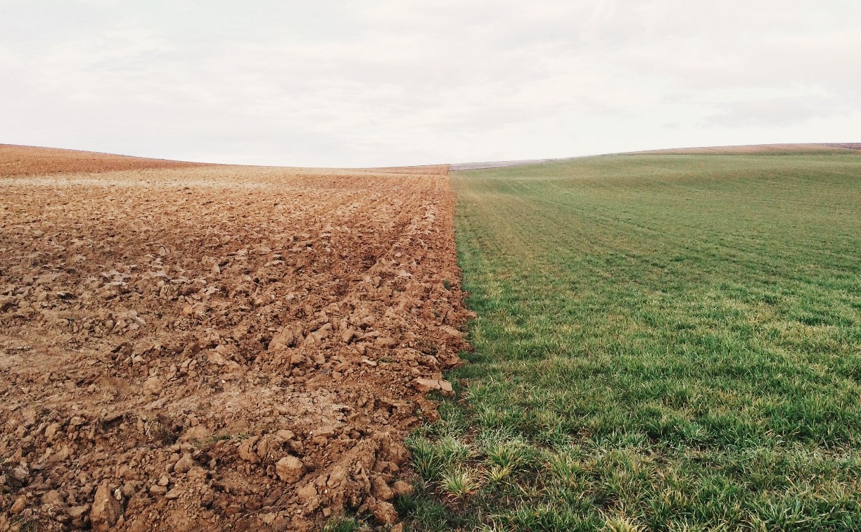 Нитриты, тяжелые металлы, нефть: что нашли в сельхозземлях на Сахалине 
