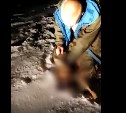 Житель Дальнего Востока кулаками забил до смерти беспомощную косулю