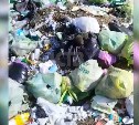 "У кого-то была очень веселая пати": неизвестные выкинули множество пакетов с бутылками в Южно-Сахалинске