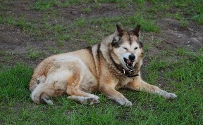 Происшествия