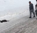 Полиция задержала человека, убившего краснокнижное животное на Сахалине