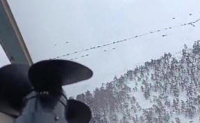 Происшествия