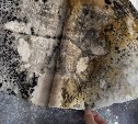 Плесень, отошли обои: жительница Тымовского жалуется на состояние своей квартиры