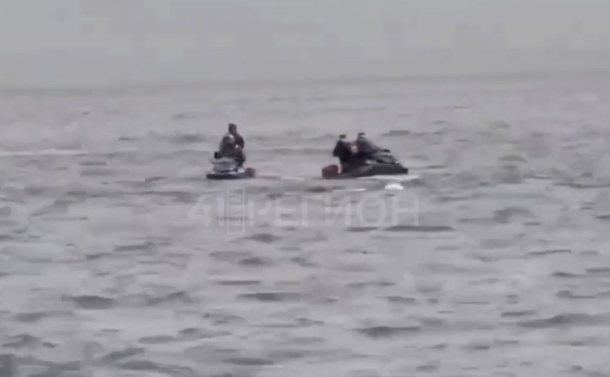 Водители гидроциклов терроризируют сивучей на Камчатке