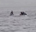 Водители гидроциклов терроризируют сивучей на Камчатке