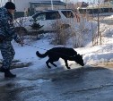 Собака сахалинских полицейских выследила двух воров по запаху