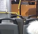 На Сахалине в метель застрявший автобус полтора часа стоит в сугробе с пассажирами