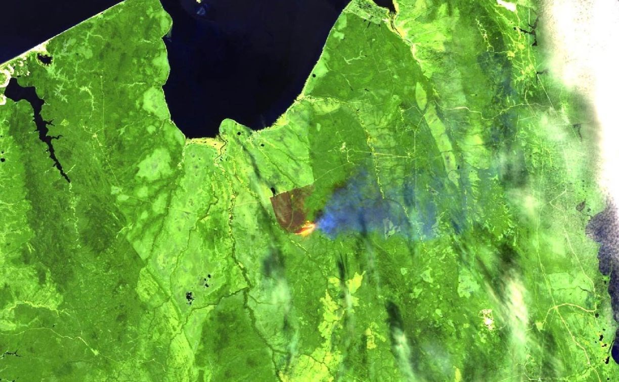 Опубликованы спутниковые снимки крупного лесного пожара на Сахалине