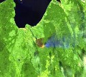 Опубликованы спутниковые снимки крупного лесного пожара на Сахалине