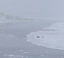 Льдину с рыбаками оторвало на юге Сахалина