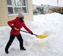 Родители и коллективы детских садов вышли на расчистку территорий в Южно-Сахалинске