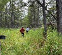 В Охе десятки добровольцев прочёсывают лес в поисках пропавшей 2 дня назад пенсионерки 