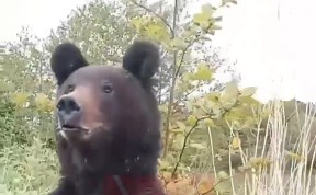 Общество