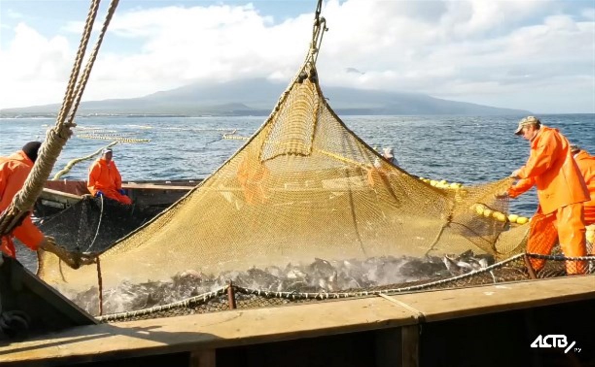 У Северных Курил выловили ещё 40 тонн палтуса