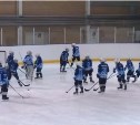 Восьмую Дальневосточную зону в системе детско-юношеского хоккея возможно, создадут на Сахалине 