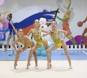 Гимнастки из Якутии выступят на соревнованиях в Южно-Сахалинске