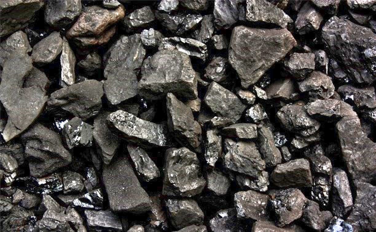 В Южно-Сахалинске начали принимать заявки от населения на поставку угля